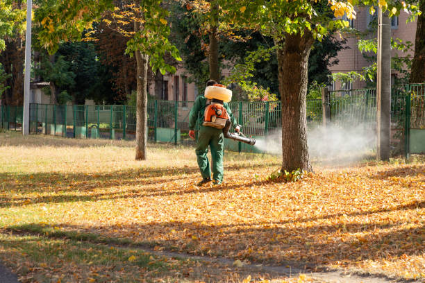 Best Mosquito Control Services  in Roosevelt Park, MI
