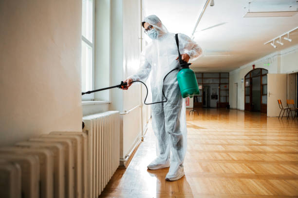 Best Affordable Pest Control Services  in Roosevelt Park, MI