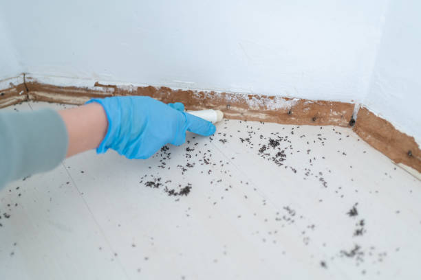 Best Wildlife Control Services  in Roosevelt Park, MI