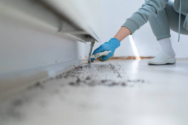 Best Pest Control Near Me  in Roosevelt Park, MI